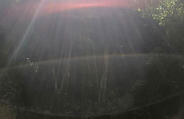 Tre metr sopra il cielo '' GiraSoli'' - Photo 58