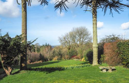 Y Gegin Fach Cardigan - Photo 22