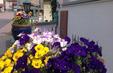 Landpension Villa Dominikus - Foto 15