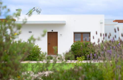 mar(y)ar alojamento local - Foto 4