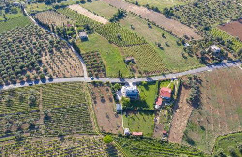 VILLA IN NATURE - Foto 62