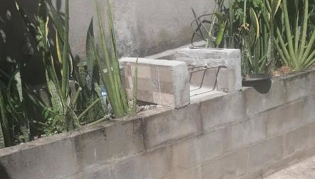 Fazendinha Dona Cândida - Foto 4