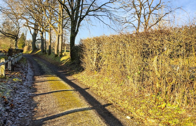 Stylish Retreat With Sauna - Photo 38