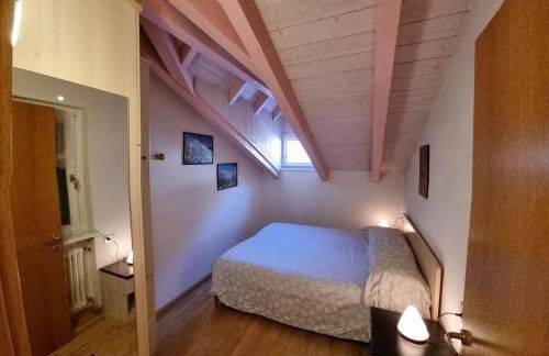 Cesa Alegra - Foto 14