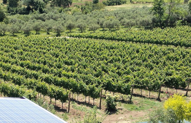 Angelucci Agriturismo con Camere e Agri Camping - Photo 62