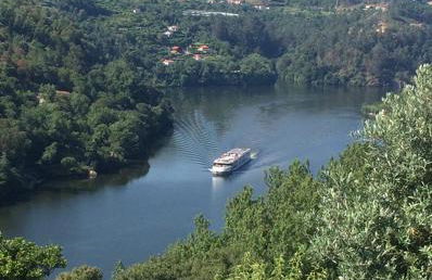 Pedacinho de Mundo Douro - Foto 29