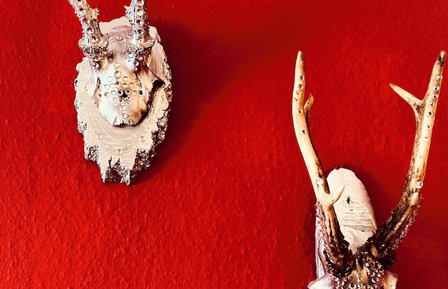 Apartment Hallstatt Dachstein Inn - Foto 7