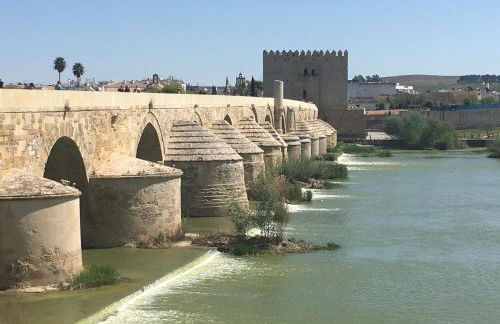 La Condesa de Vallellano - Foto 31