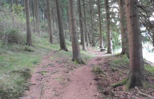 Apartment in Wildemann Near Hahnenklee Ski Area - Foto 41