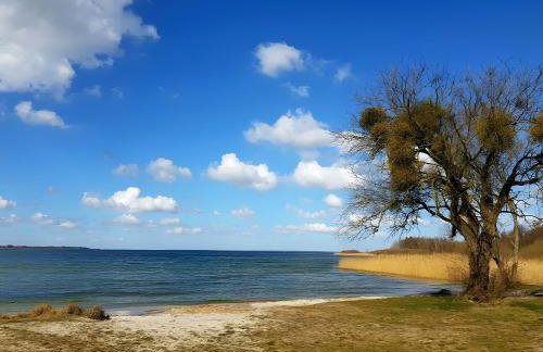 Ferienhaus Rechlin - Foto 25