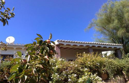 Casa Algarrobo by Rosas Cantares - Foto 21
