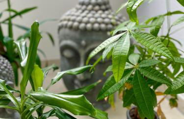 Ahaus: Stadtoase mit Terrasse & privater Garage - Foto 39