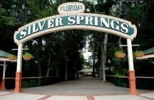 Historic Carriage House Downtown 2 bedroom 1 bath - Foto 45