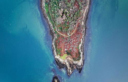 Steading Cottage - 50m from the beach - Foto 69