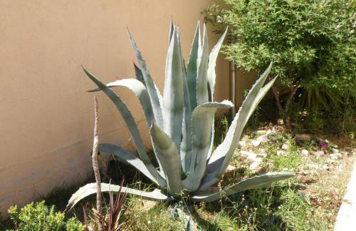 Vila Moli Suites - Foto 6