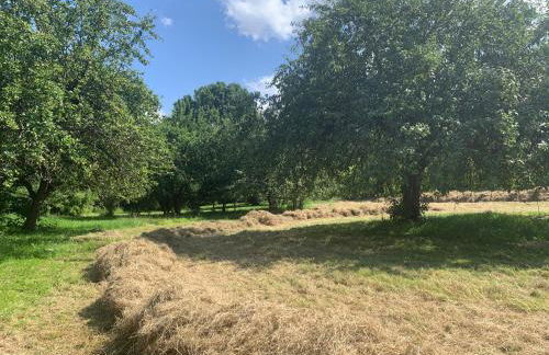 Ferienwohnung in historischer Mühle - Foto 35