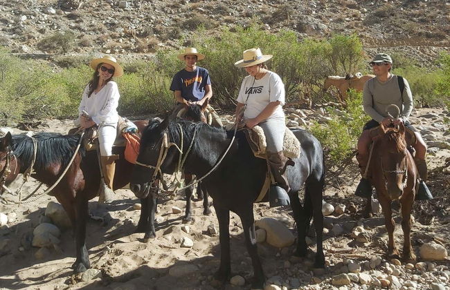 Horseback Riding in Cochiguaz - Photo 2