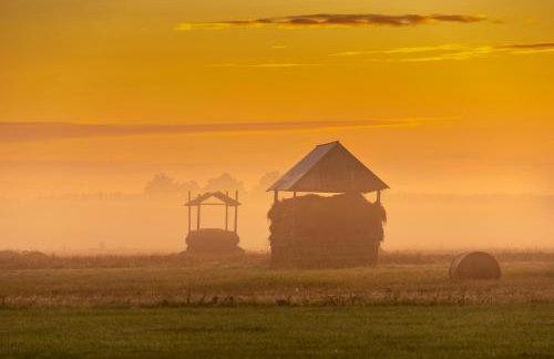 Lipowy Zakątek to miejsce bez gospodarzy i na wyłączność - Foto 35