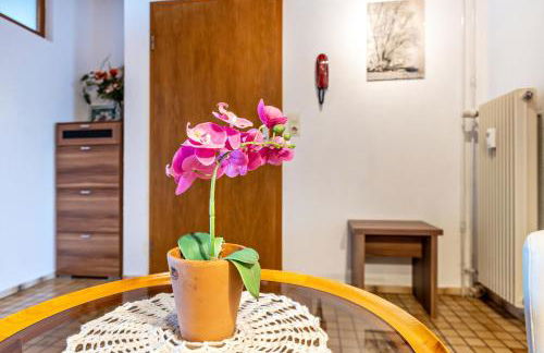 Ferienwohnungen Martin Lafar - Foto 41