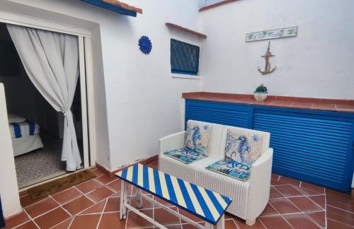 Pino Marino - Foto 14