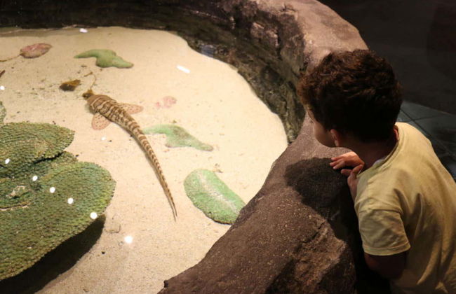 Ingresso do Aquaria KLCC - Foto 1