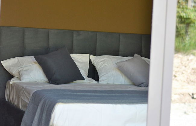 Agriturismo Vitae di Langa - Foto 9