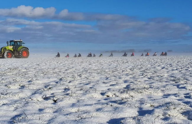 Elbwiesenhaus Modern Retreat - Foto 16