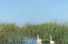 Newly Renovated Lakefront with Dock - Foto 72