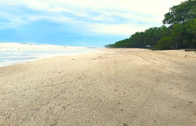 Playa Potrero NEW 2 BR Condo Near to the Beach - Casa Blanca 7 - Foto 58