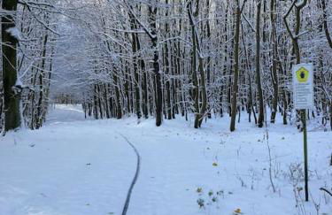 Landhaus „Blattgold“ - Foto 27