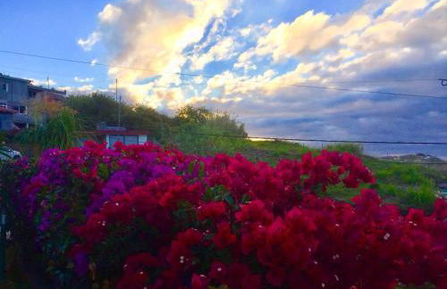 Casa Lira - Photo 58