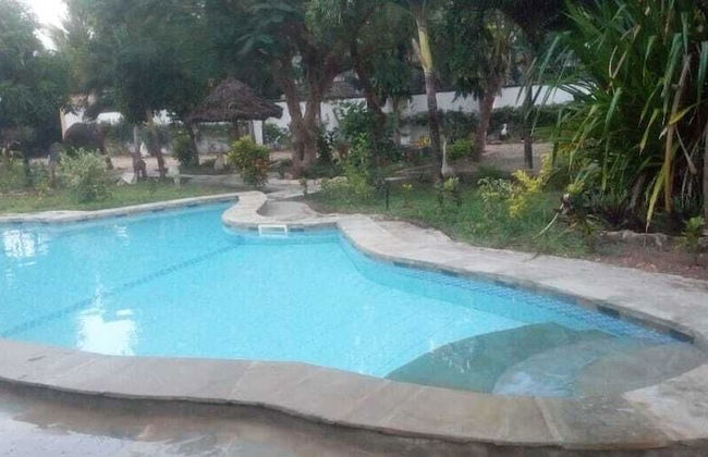 Micmoll Paradise - Photo 18