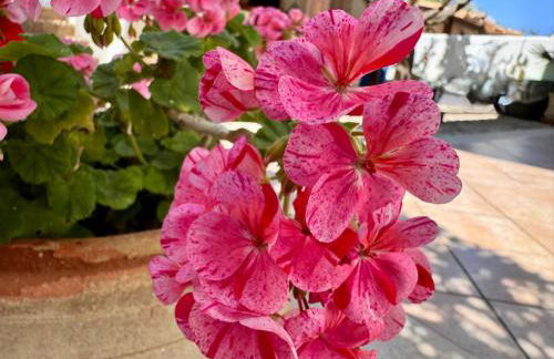 Monolocale da Mariolina - Foto 14