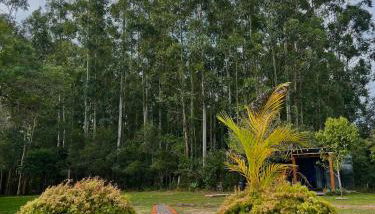 Cabana de teto de vidro - Foto 3