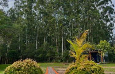 Cabana de teto de vidro - Foto 3