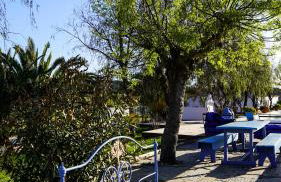 Nature Forest - Herdade de Martingil - Foto 67