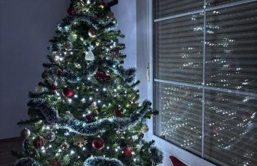 Green Home - Foto 32