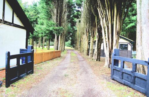 Beautiful cottage in Brentwood - Foto 57