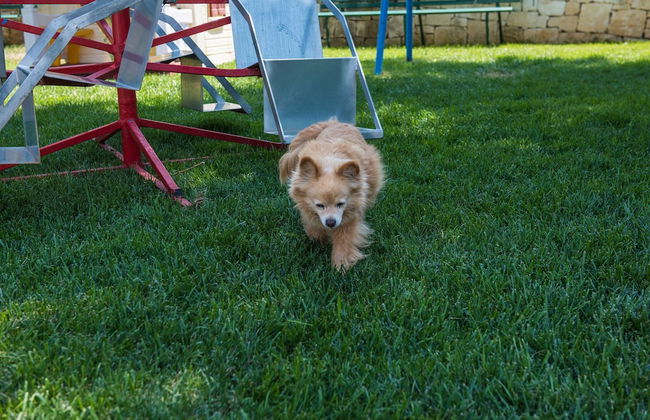 Agriturismo Salinola - Foto 57