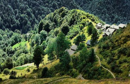 Stones and Pines - Foto 19