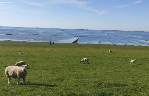Ferienwohnung Altneukoog - Foto 30