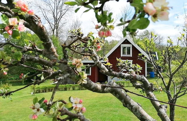 4 Person Holiday Home in Holmsjo-by Traum - Photo 24