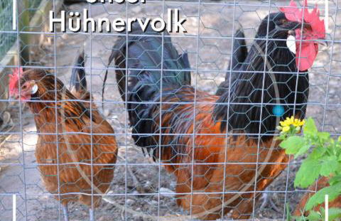 Obst- und Weingut Ingenhof - Foto 34