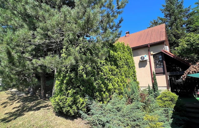 Best of Ilidza Villa - Foto 50