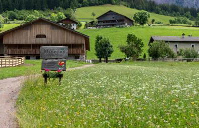 Moserhof Ferienwohnung Schartblick - Foto 28