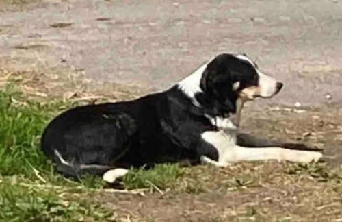 Ferien auf dem Eliesenhof - Foto 18