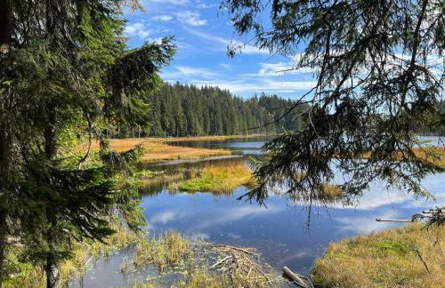 H.Aus.Zeit Ferienwohnungen Stockbauer - Photo 46