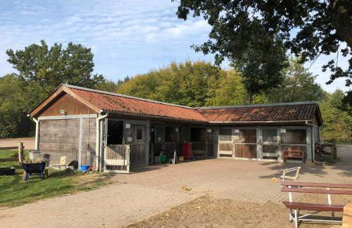 Ferienpark Geesthof - Foto 11