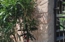 Romantic Apartment Sonja, Beachfront - Foto 70