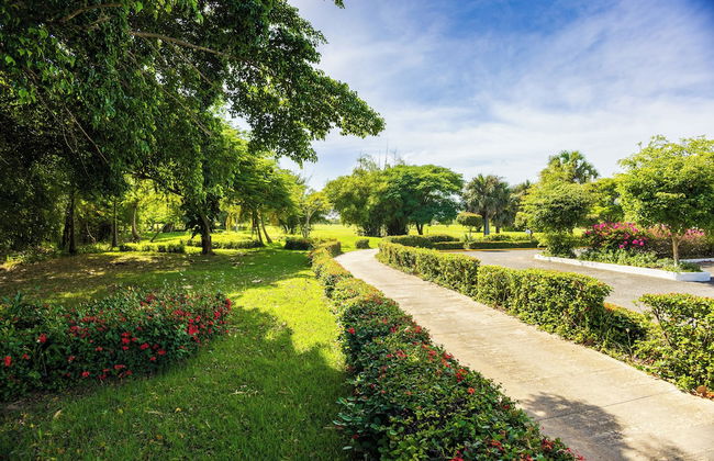 Family Elite Golf Vacations in Cocotal - Foto 60